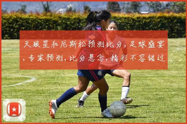 天狼星和厄斯松预测比分,足球盛宴,专家预测,比分悬念,精彩不容错过,一触即发,拭目以待