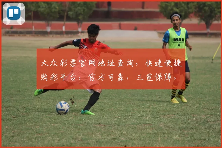 大众彩票官网地址查询，快速便捷购彩平台，官方可靠，三重保障，轻松中奖