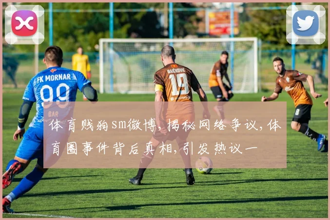 体育贱狗sm微博,揭秘网络争议,体育圈事件背后真相,引发热议一