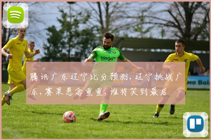 腾讯广东辽宁比分预测,辽宁挑战广东,赛果悬念重重,谁将笑到最后
