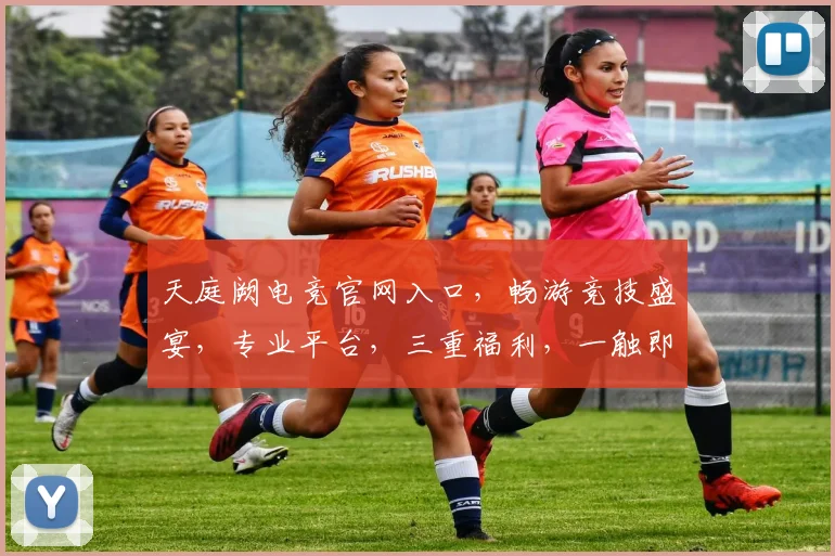 天庭阙电竞官网入口，畅游竞技盛宴，专业平台，三重福利，一触即达，体验非凡