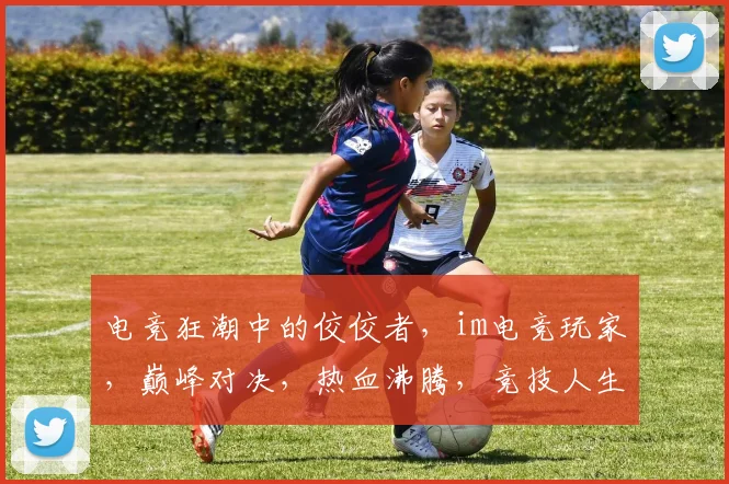 电竞狂潮中的佼佼者，im电竞玩家，巅峰对决，热血沸腾，竞技人生