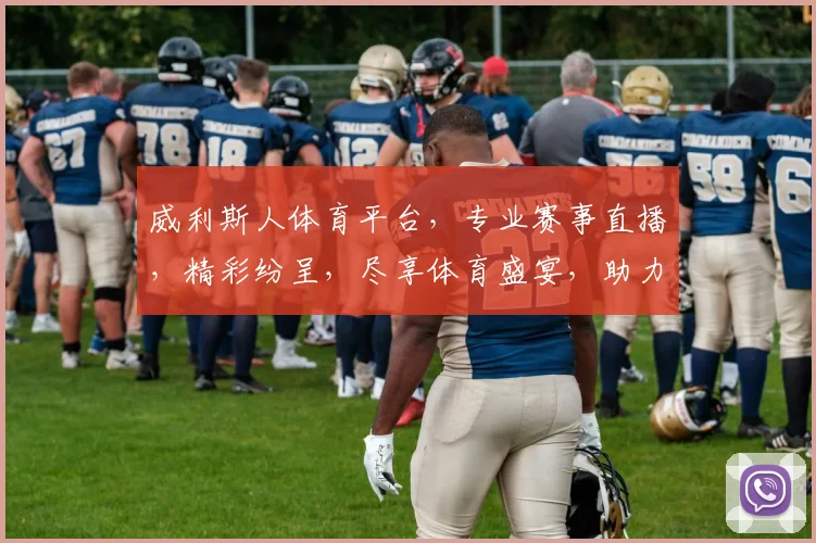 威利斯人体育平台，专业赛事直播，精彩纷呈，尽享体育盛宴，助力全民健身